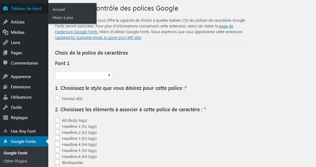 interface du plugin WordPress google fonts 