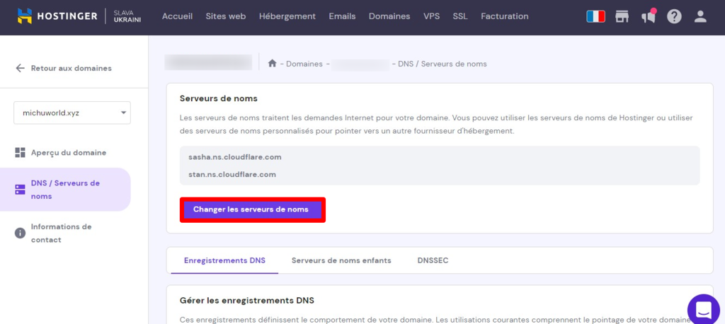 option changer les serveurs de noms sur hpanel