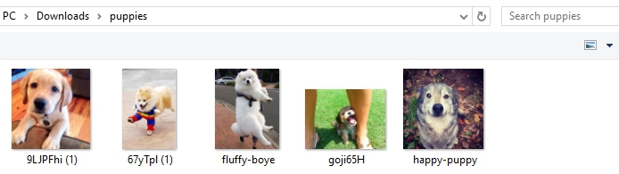 fichier-puppies pour choisir une image