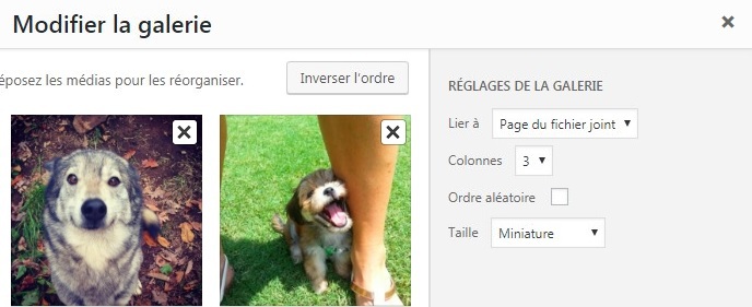 modifier-la-galerie sur wordpress