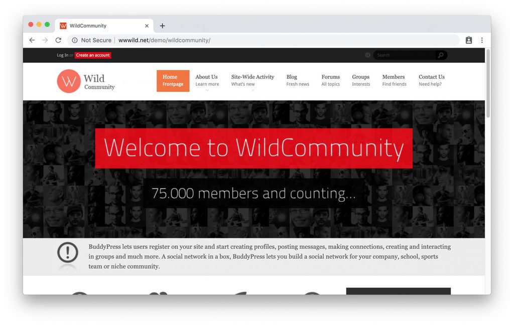 Thème WildCommunity pour intranet WordPress