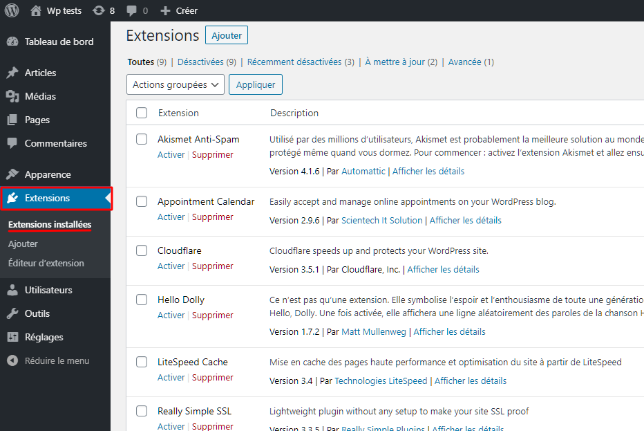 Section des extensions WordPress