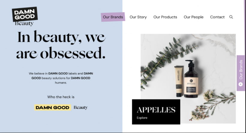 Capture d'écran montrant la page de Damn Good Beauty