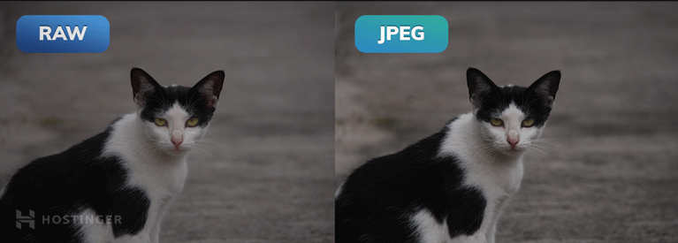 Comparaison côte à côte d'une image en RAW et en JPEG.