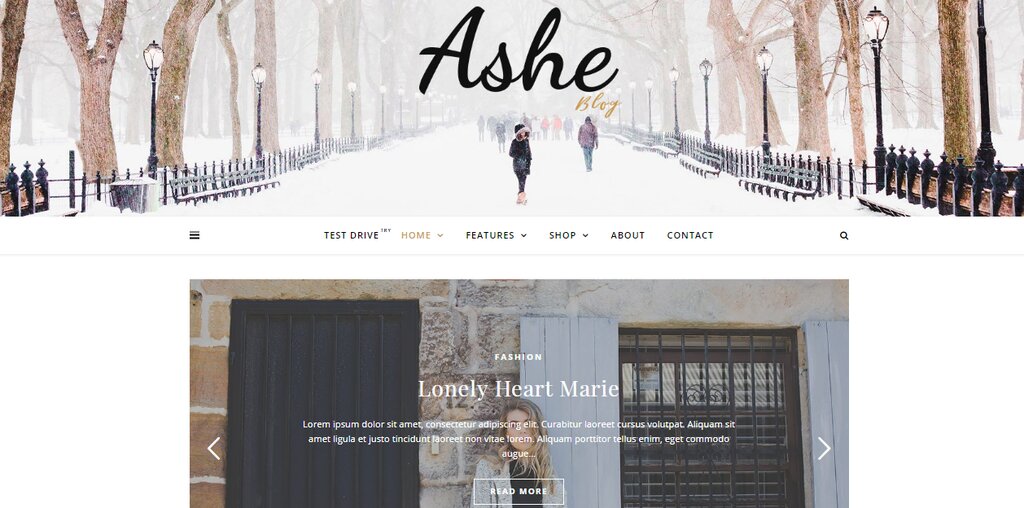 Ashe, un thème de blog WordPress gratuit 