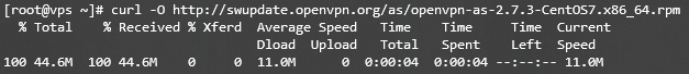 Résultat du terminal lors du téléchargement du paquet OpenVPN