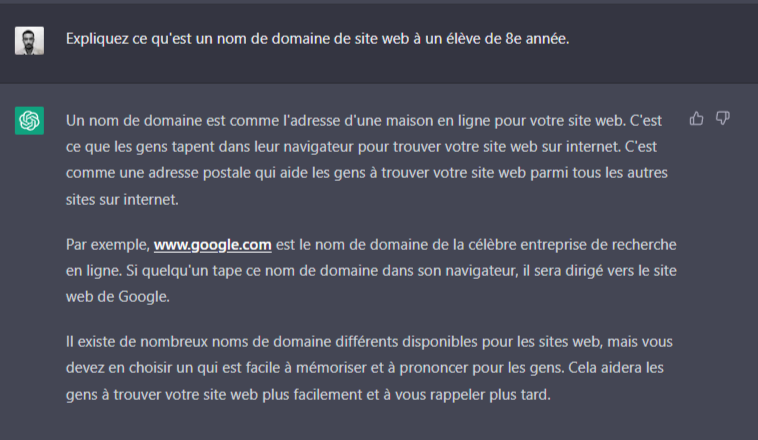 Une explication simplifiée du nom de domaine générée par ChatGPT