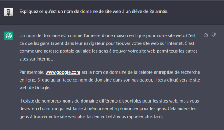 Une explication simplifiée du nom de domaine générée par ChatGPT