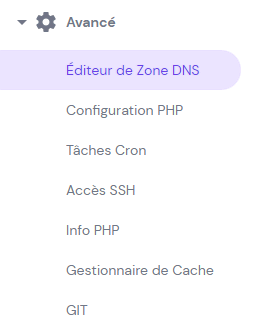 Le menu editeur de zone DNS