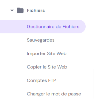 Le bouton Gestionnaire de fichiers sur hPanel