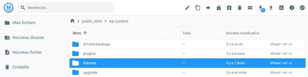 Le dossier Themes dans le gestionnaire de fichiers de Hostinger