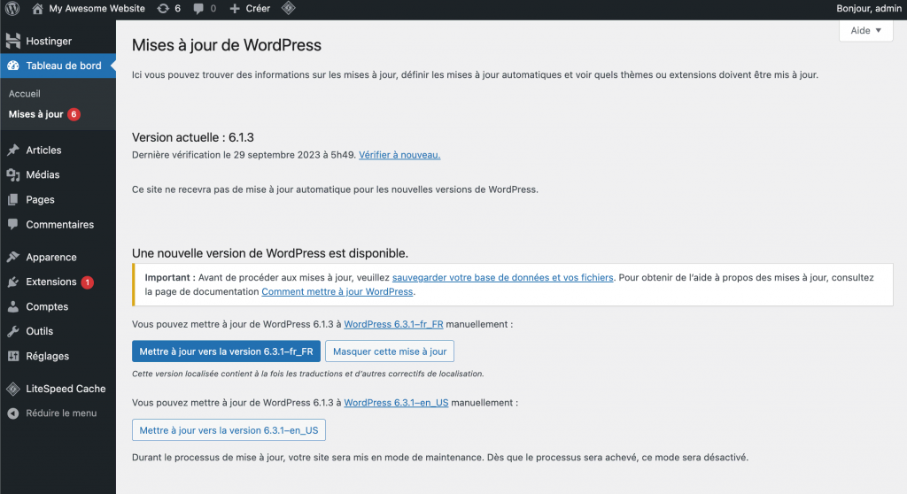Vérification de la dernière version de WordPress avec un bouton "Mise à jour vers la version 6.0.2" présent