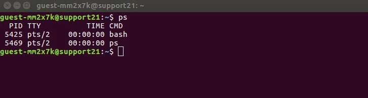 Liste des processus Linux en cours d'exécution avec la commande ps