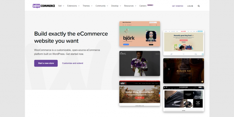 page d'accueil de WooCommerce.