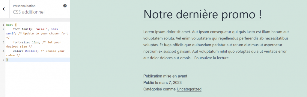 Personnalisation de la taille et de la couleur de la police du site avec CSS personnalisé dans le personnalisateur de thème WordPress