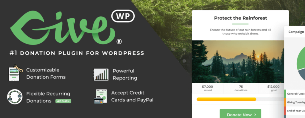 GiveWP : le meilleur plugin pour accepter les dons.