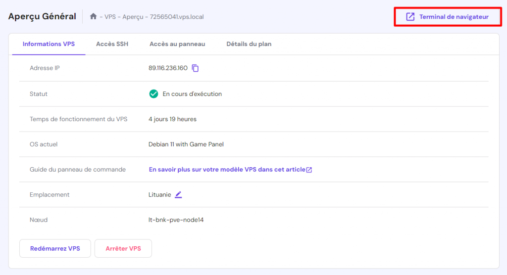 Le terminal de navigateur sur la page d'informations VPS sur hPanel.